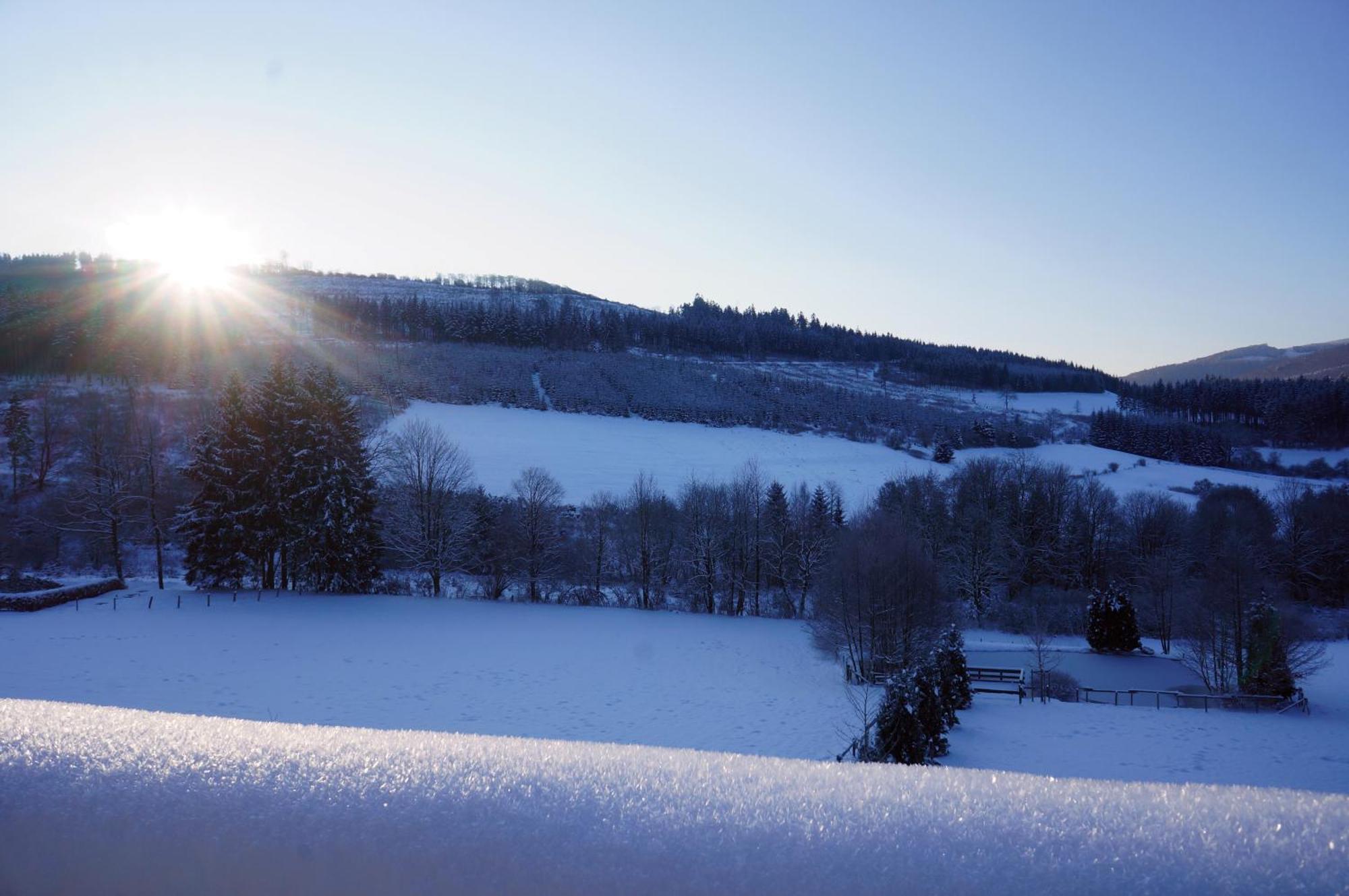 Waldhotel Schinkenwirt Olsberg Luaran gambar