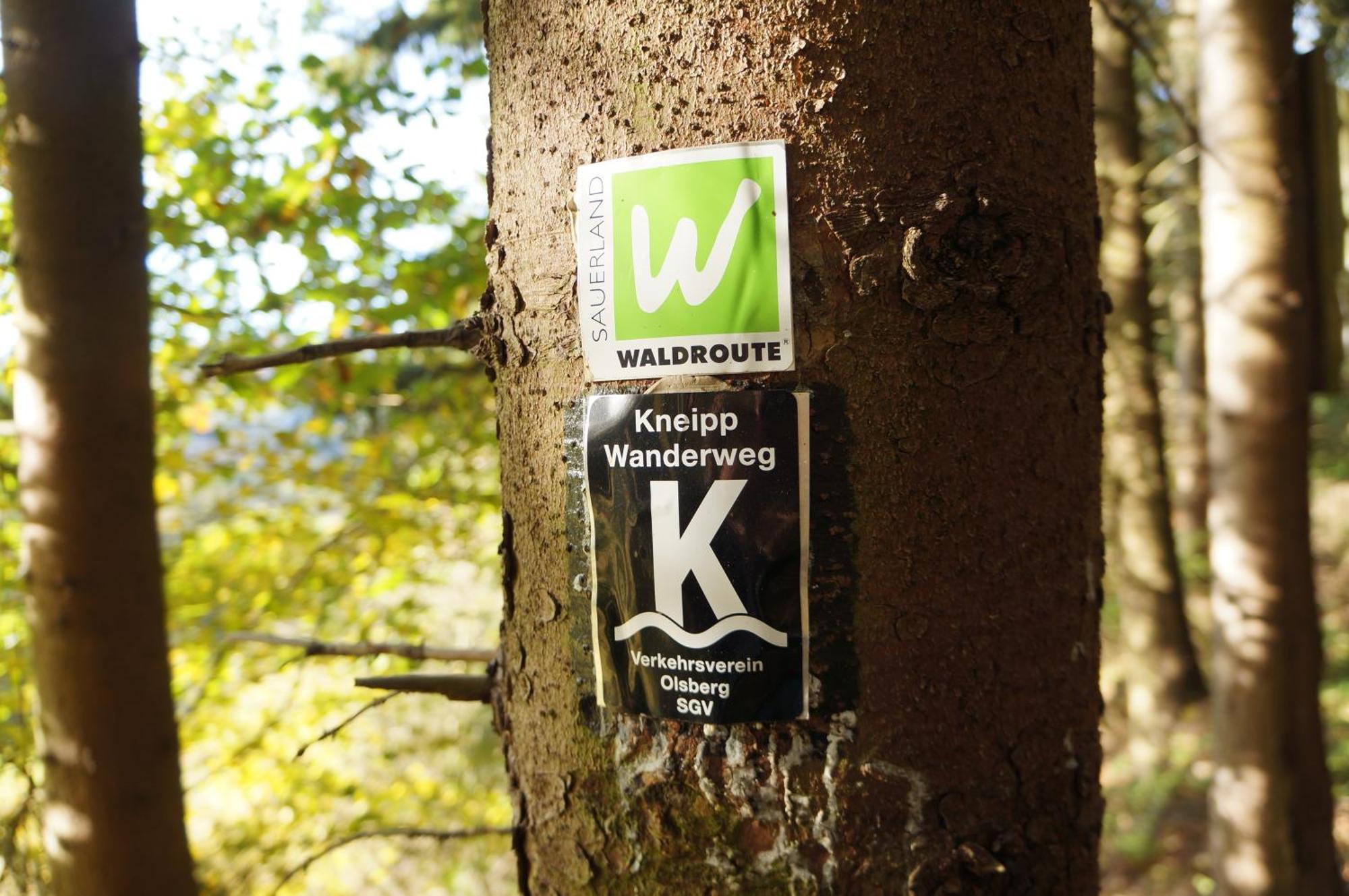 Waldhotel Schinkenwirt Olsberg Luaran gambar