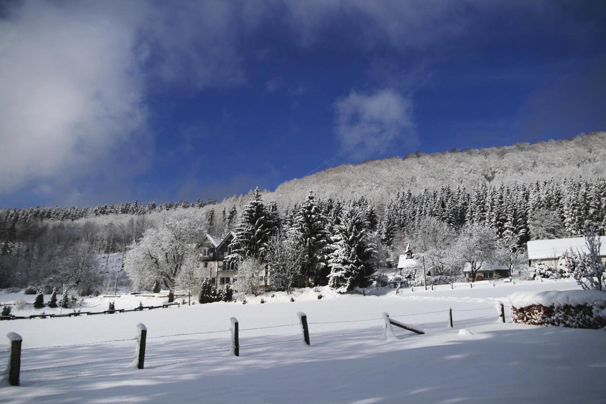 Waldhotel Schinkenwirt Olsberg Luaran gambar