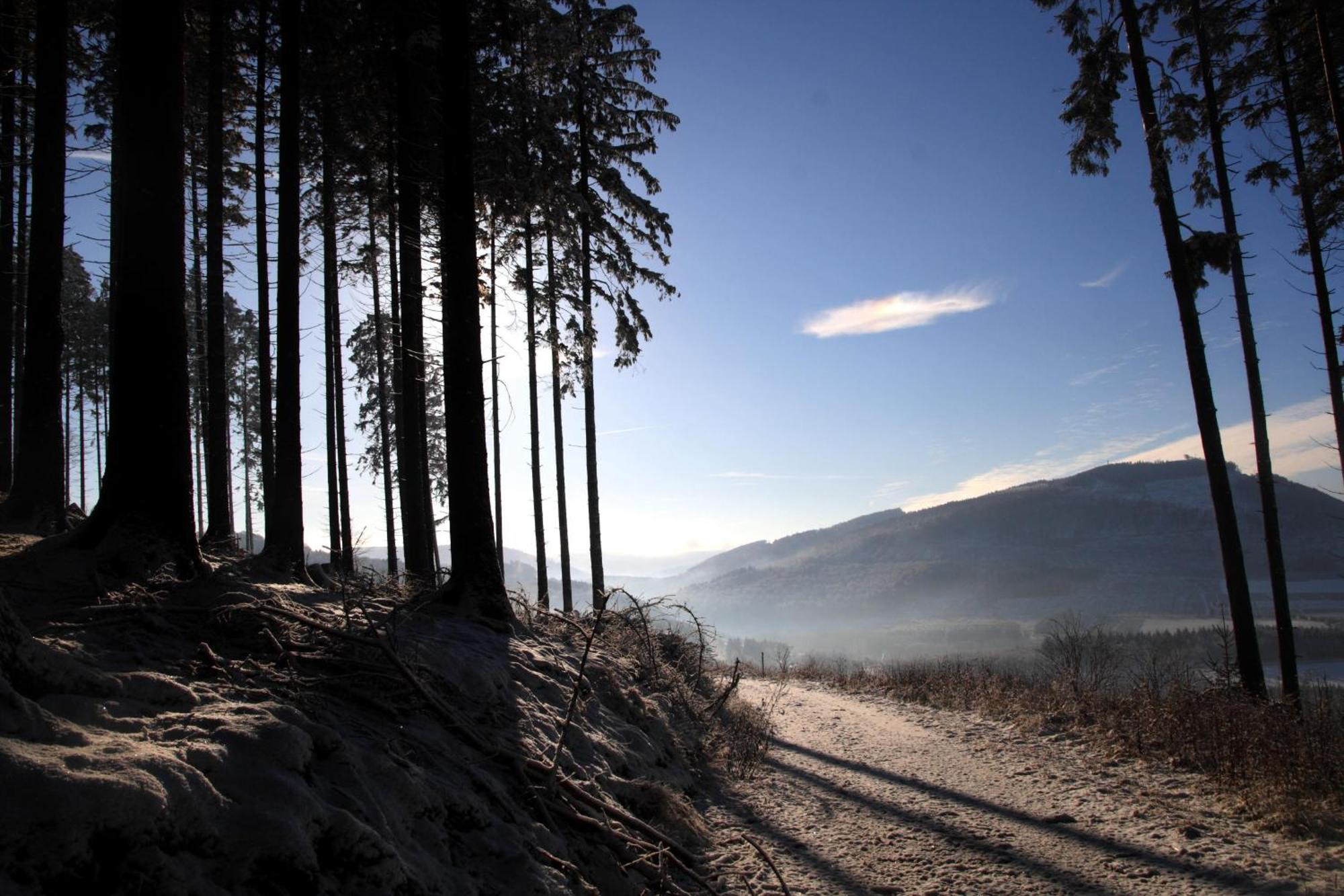 Waldhotel Schinkenwirt Olsberg Luaran gambar
