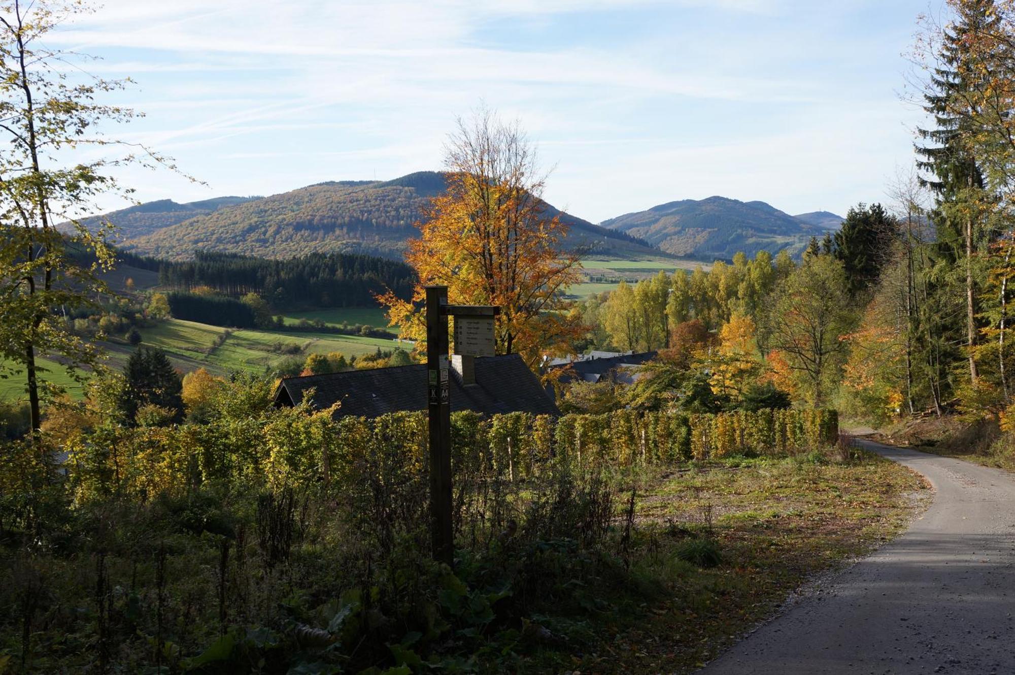 Waldhotel Schinkenwirt Olsberg Luaran gambar